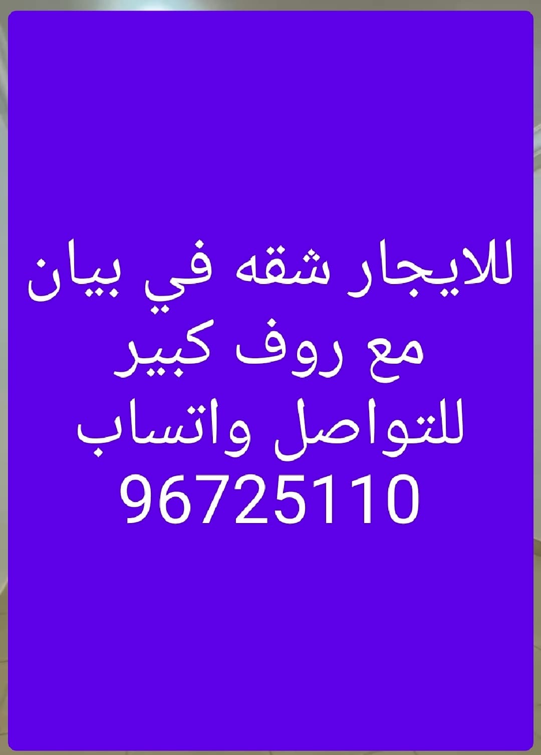 شقة