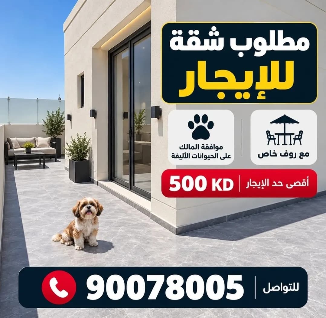 شقة