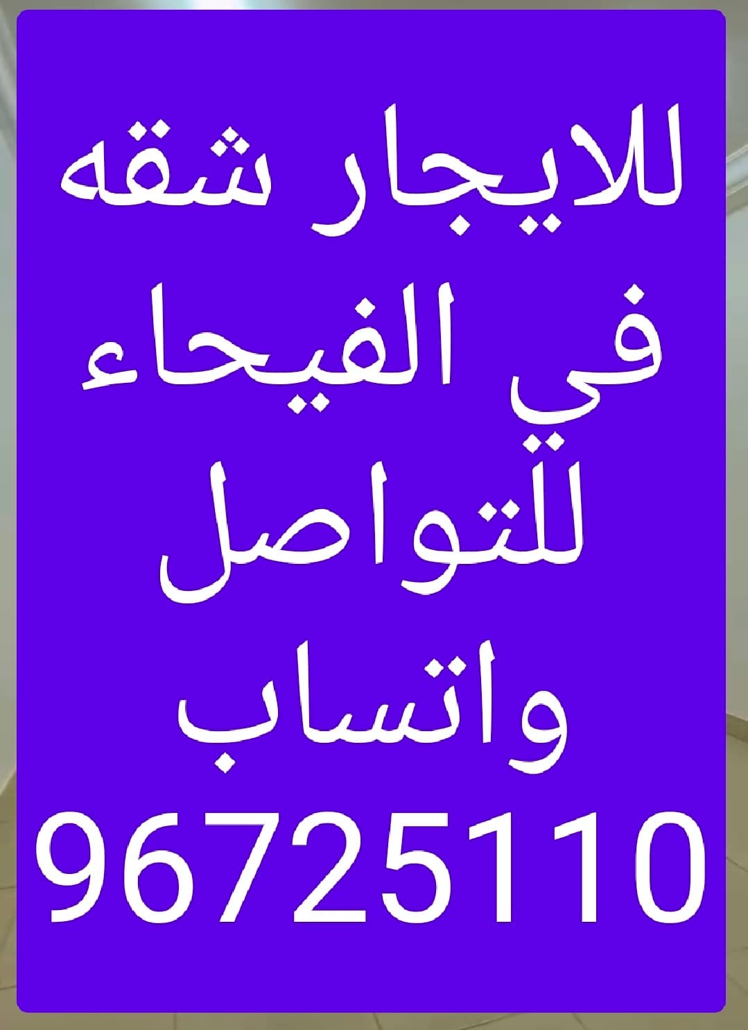 شقة