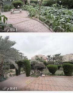 بيت