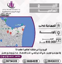 بيت