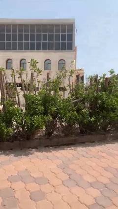 بيت