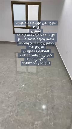 شقة