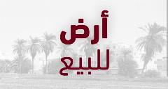 ارض