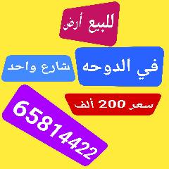 بيت