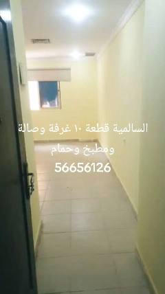 شقة