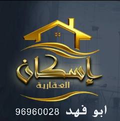 شقة