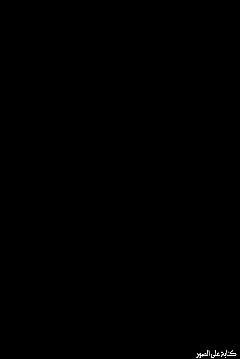 بيت
