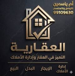 شقة