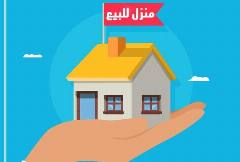 بيت
