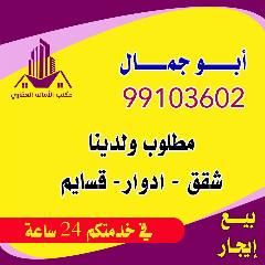 شقة