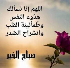 بيت