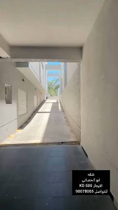 شقة